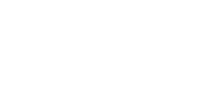 logo-ninja-light